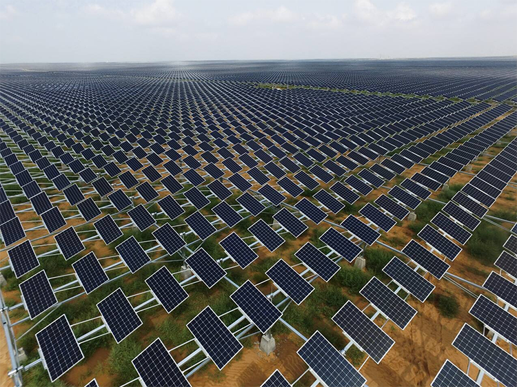 全球較大的農光互補光伏發電電站在中國建成... 