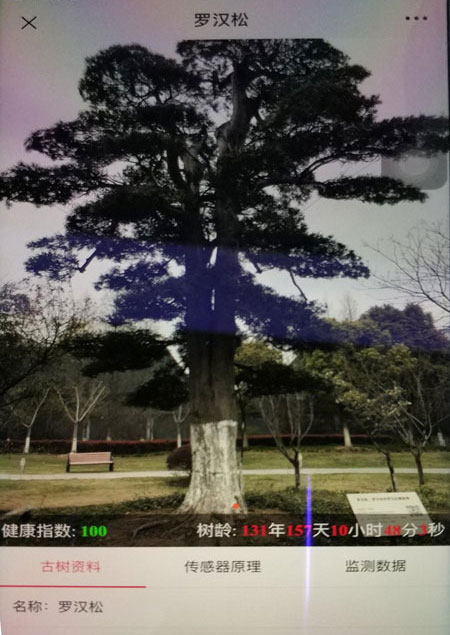 基于物聯(lián)網(wǎng)技術(shù)的古樹(shù)名木保護(hù) 監(jiān)測(cè)系統(tǒng)投入... 